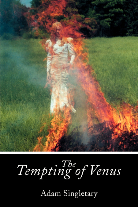 The Tempting of Venus