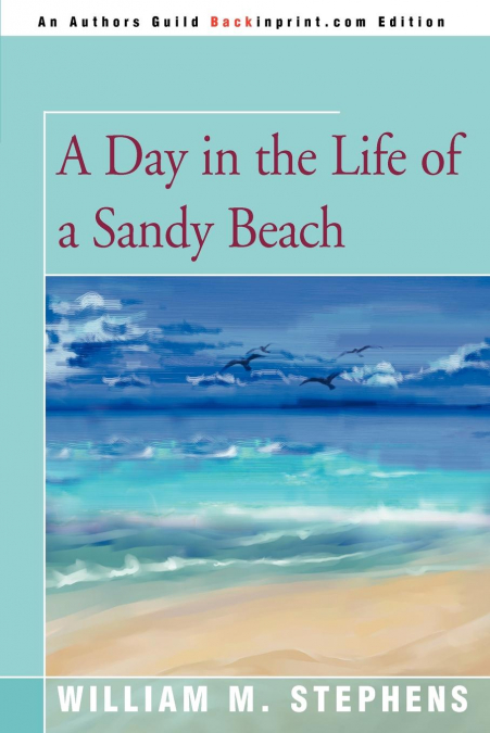 A Day in the Life of a Sandy Beach