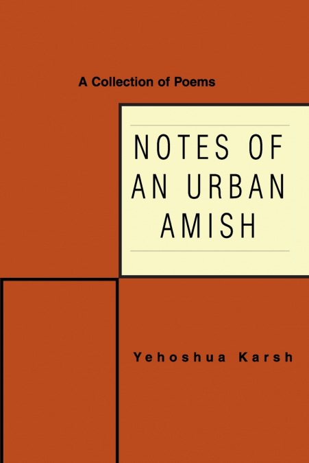 Notes of an Urban Amish