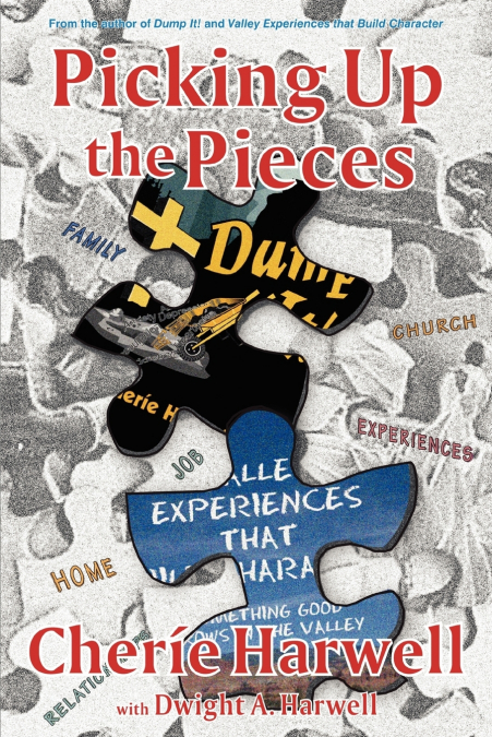 Picking up The Pieces