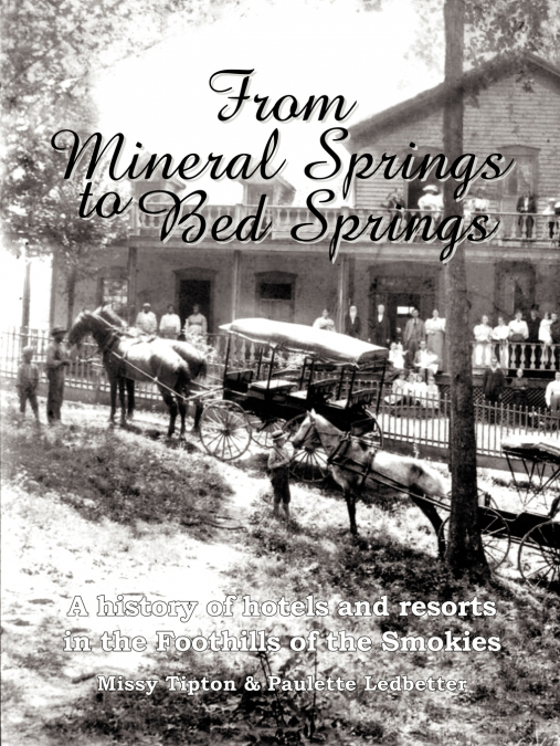 From Mineral Springs to Bed Springs