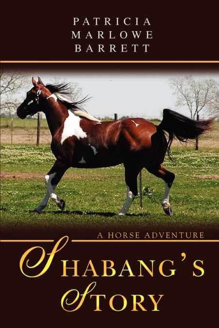 Shabang’s Story