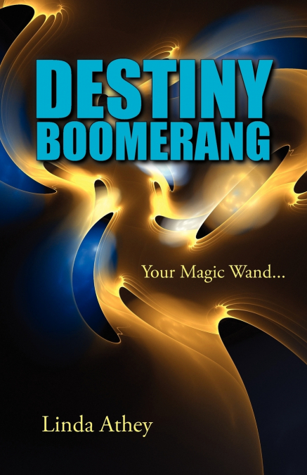 Destiny Boomerang