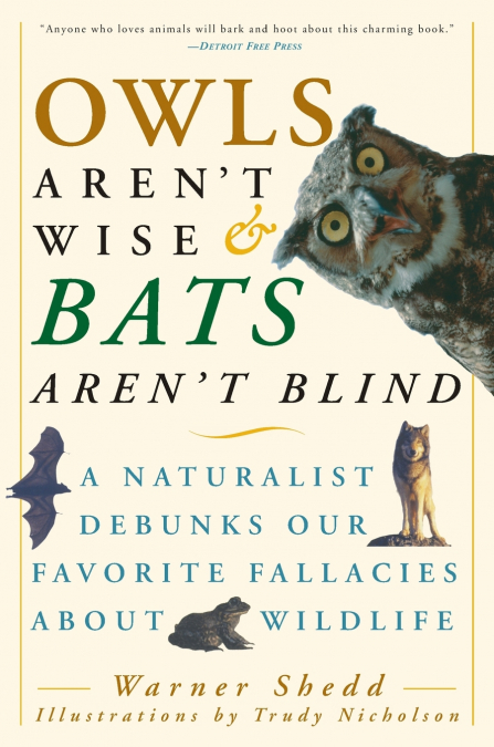 Owls Aren’t Wise & Bats Aren’t Blind