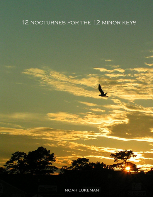 12 Nocturnes for the 12 Minor Keys