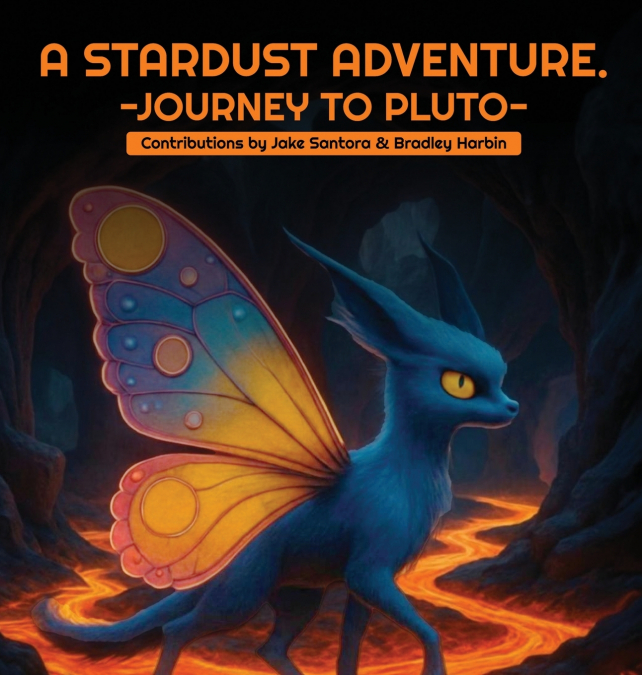 A Stardust Adventure