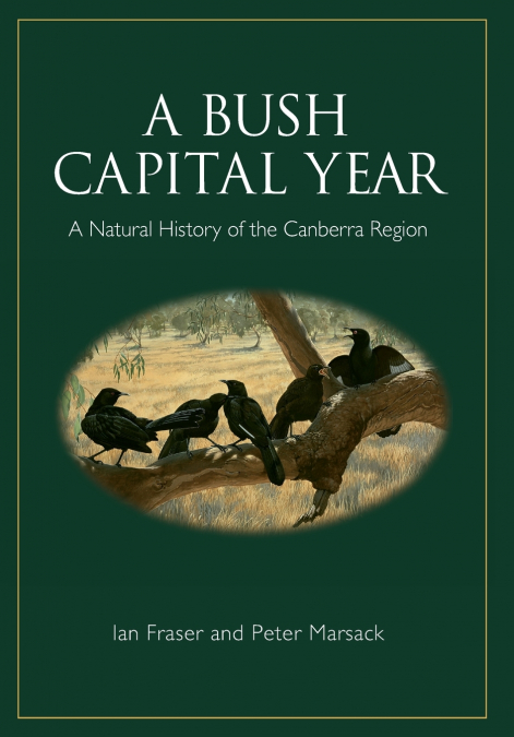 A Bush Capital Year