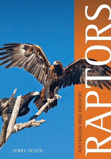 Australian High Country Raptors
