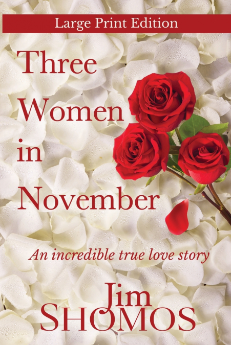 Three Women in November - Large Print Edition