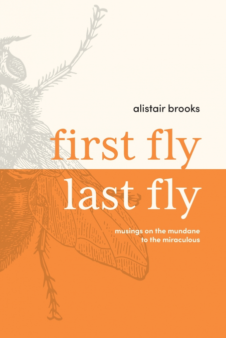 First Fly, Last Fly