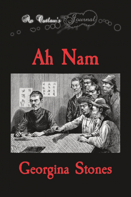 An Outlaw’s Journal
