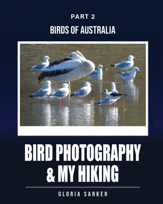 Bird Photography & My Hiking