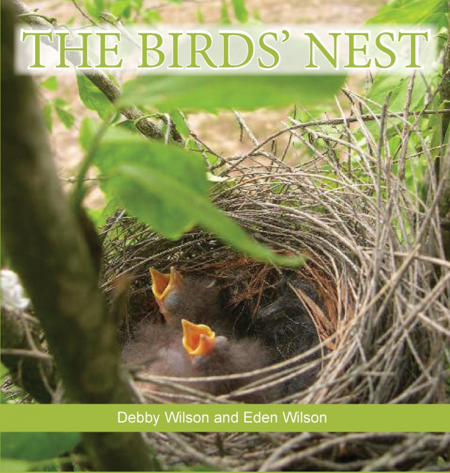 The Birds’ Nest
