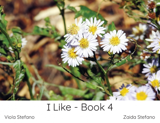 I Like - Book 4
