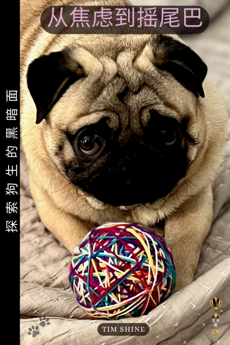 从焦虑到摇尾巴