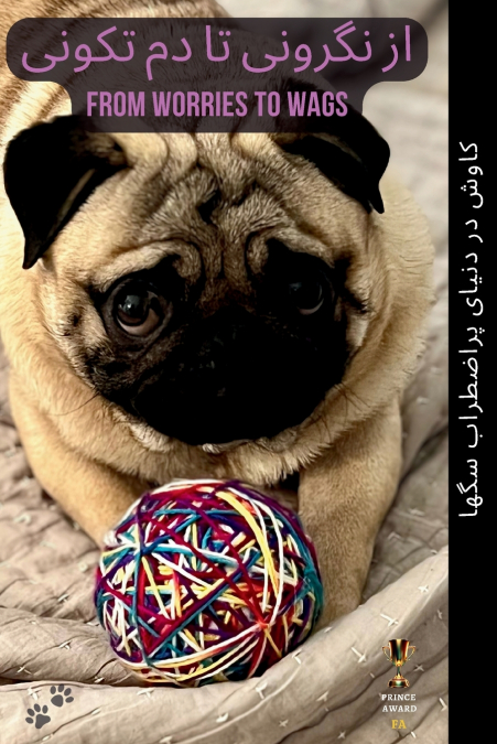 از نگرونی تا دم تکونی