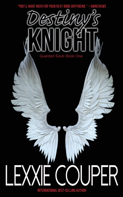 Destiny’s Knight