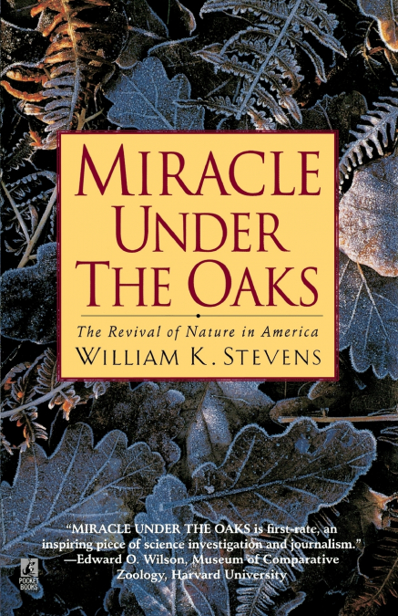 Miracle Under the Oaks