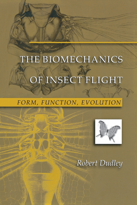 The Biomechanics of Insect Flight