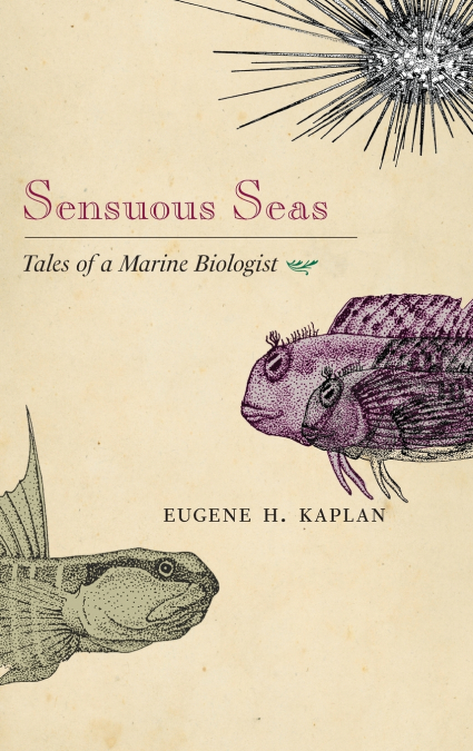Sensuous Seas
