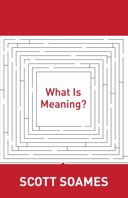 What Is Meaning?