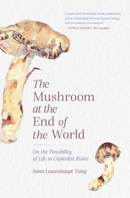 Mushroom at the End of the World