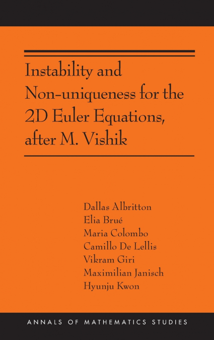Instability and Non-uniqueness for the 2D Euler Equations, after M. Vishik