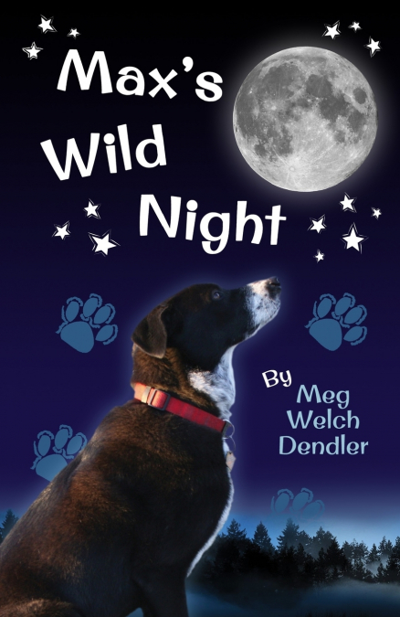 Max’s Wild Night