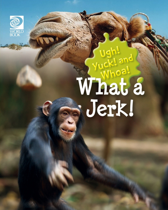 What a Jerk!