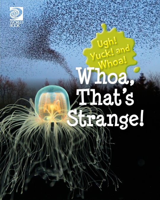 Whoa, That’s Strange!