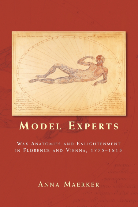 Model experts