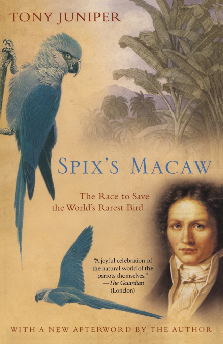 Spix’s Macaw