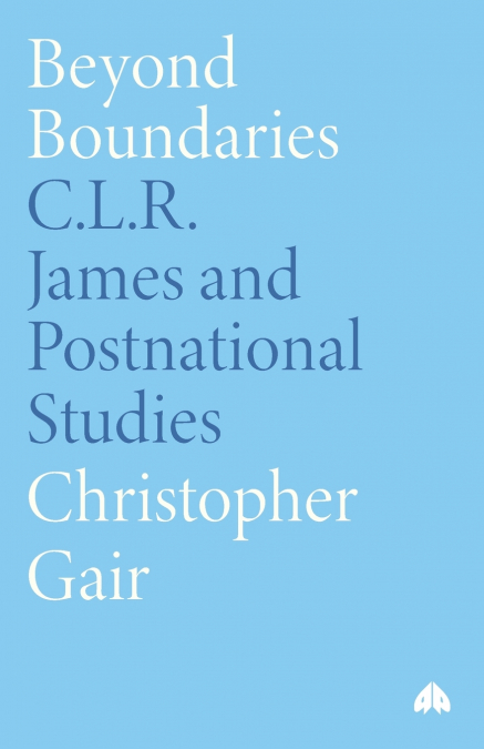 Beyond Boundaries