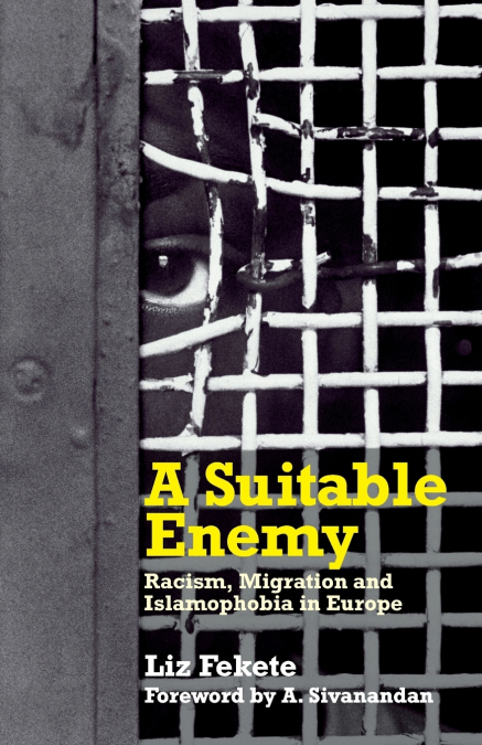 A Suitable Enemy