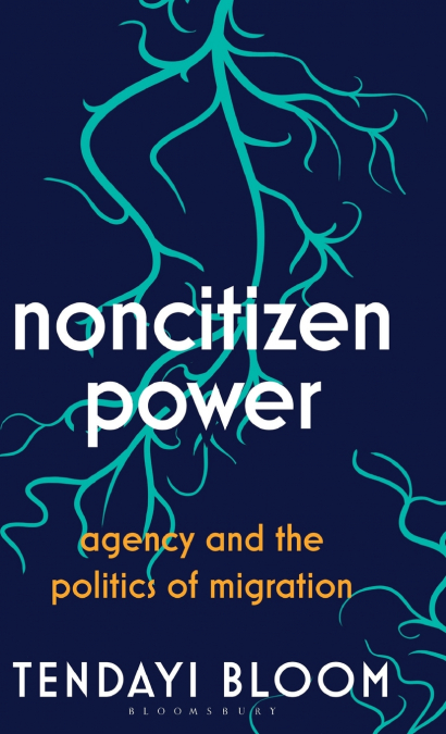 Noncitizen Power