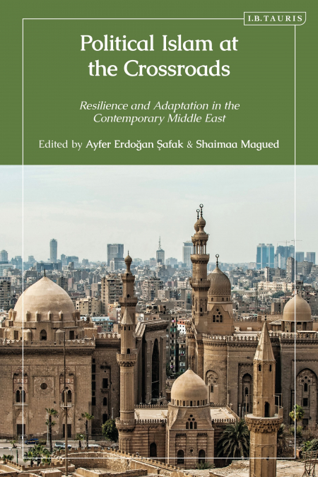 Political Islam at the Crossroads