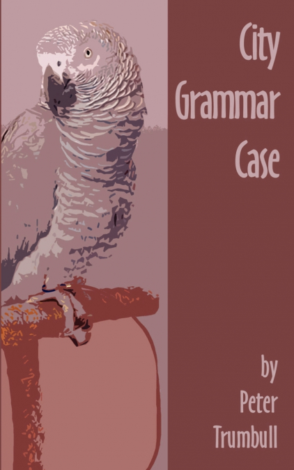 City Grammar Case