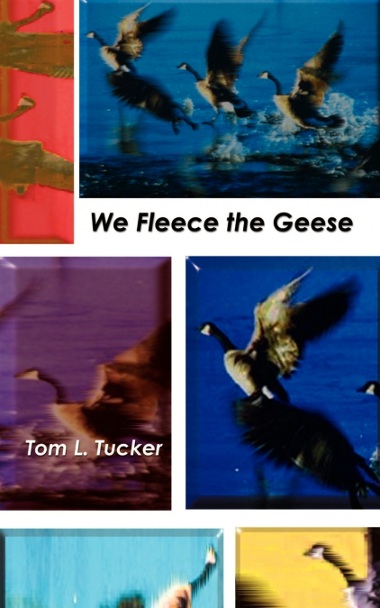 We Fleece the Geese