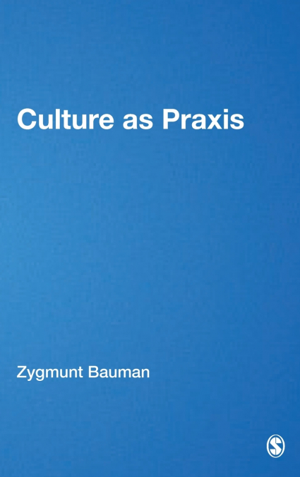 Culture as Praxis