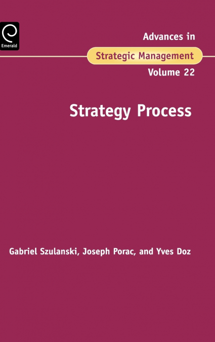 Strategy Process