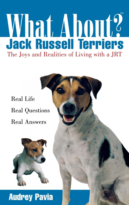 What About Jack Russell Terriers?