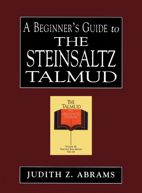 Beginner’s Guide to the Steinsaltz Talmud
