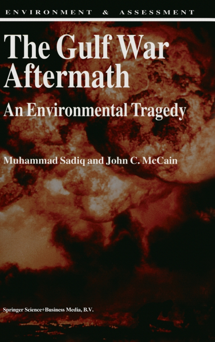 The Gulf War Aftermath