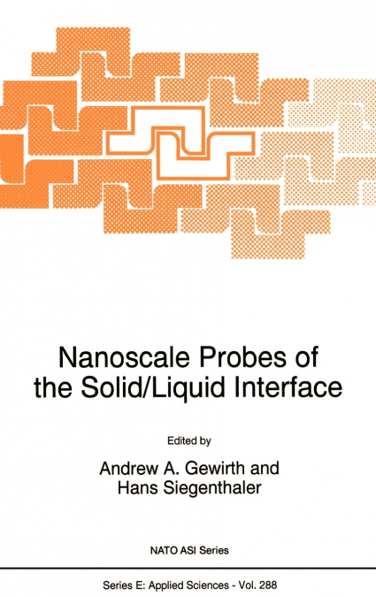 Nanoscale Probes of the Solid/Liquid Interface