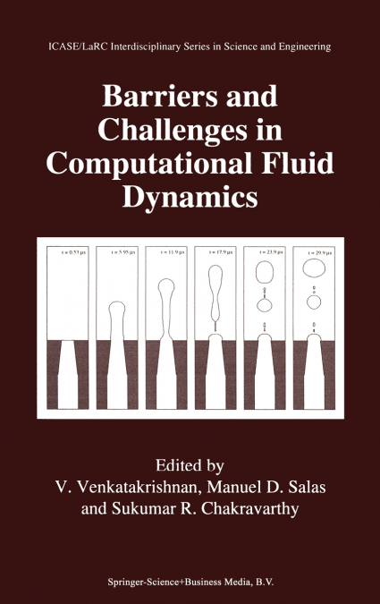 Barriers and Challenges in Computational Fluid Dynamics