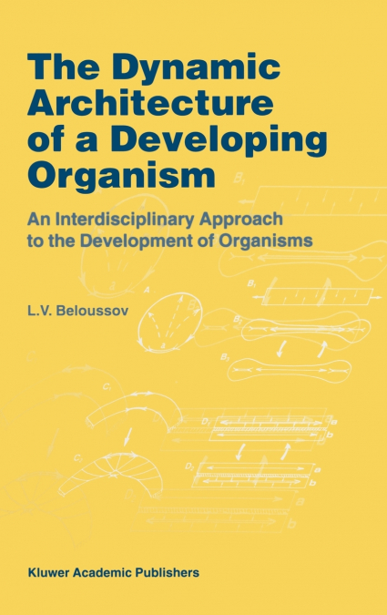 The Dynamic Architecture of a Developing Organism