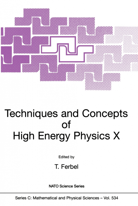 Techniques and Concepts of High Energy Physics X