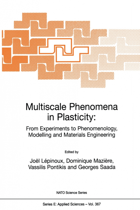 Multiscale Phenomena in Plasticity