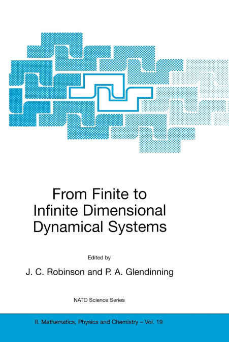 From Finite to Infinite Dimensional Dynamical Systems