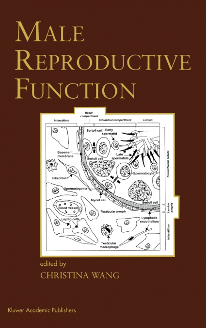 Male Reproductive Function